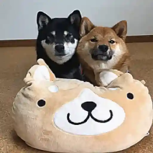 ✦  ─  Perritos     © Lúa 4