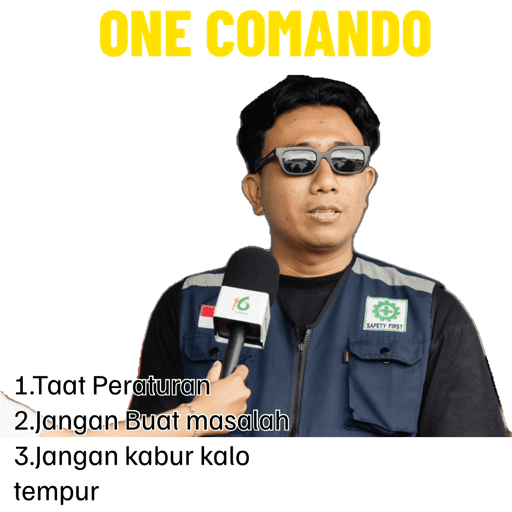 Alo 10