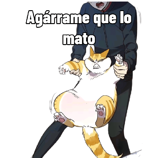 Caseina 14