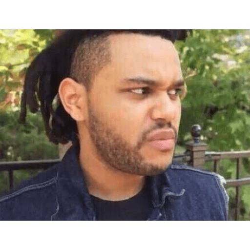 The weeknd  29