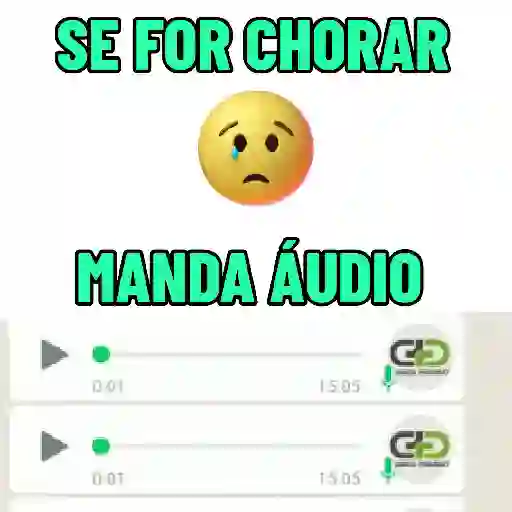 Grupo  5