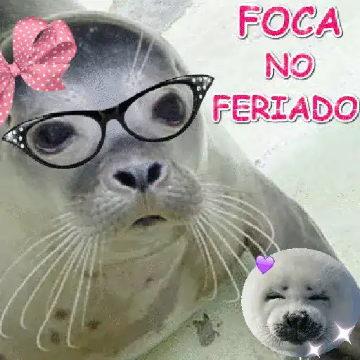 Feriado  3
