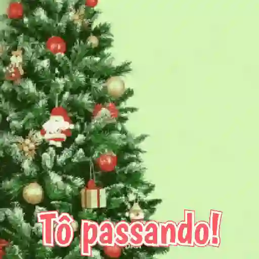 Natal 4