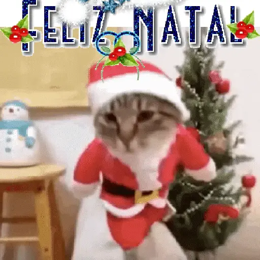 Natal 2