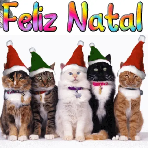 Natal 30