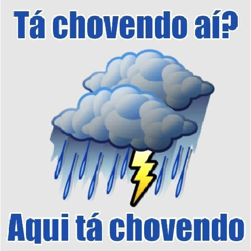 Grupo 11