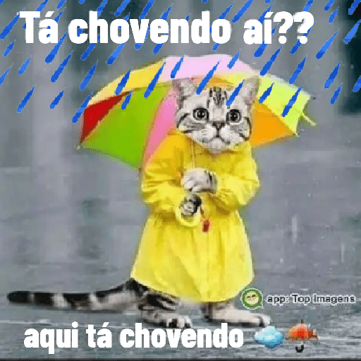 Grupo 18