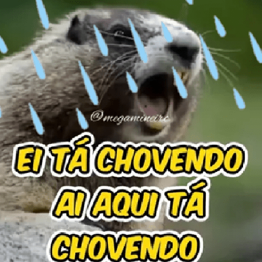 Grupo 19