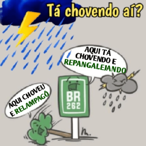 Grupo 24