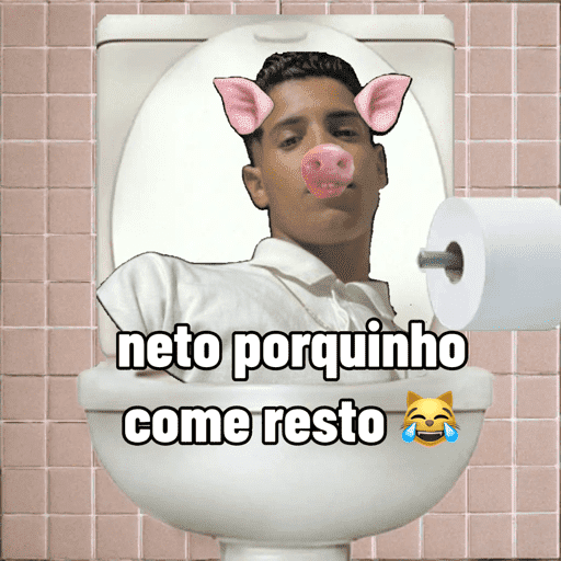 Minhas figurinhas 1