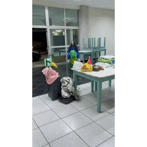Figuras gelson 3