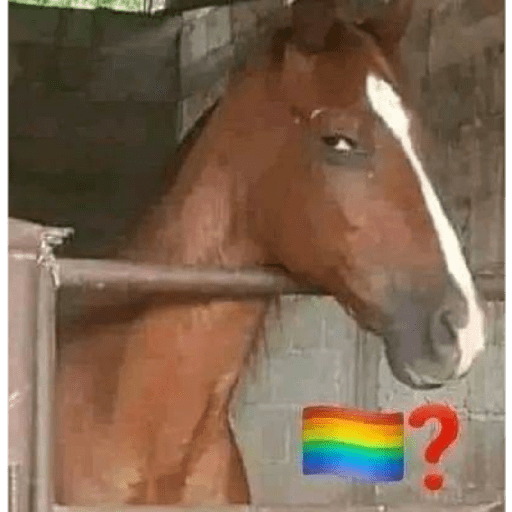 Itsdeer 24