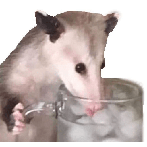 Itsdeer 6