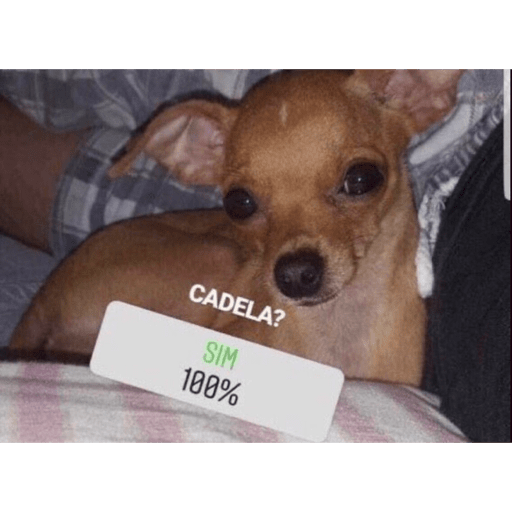 Oijh