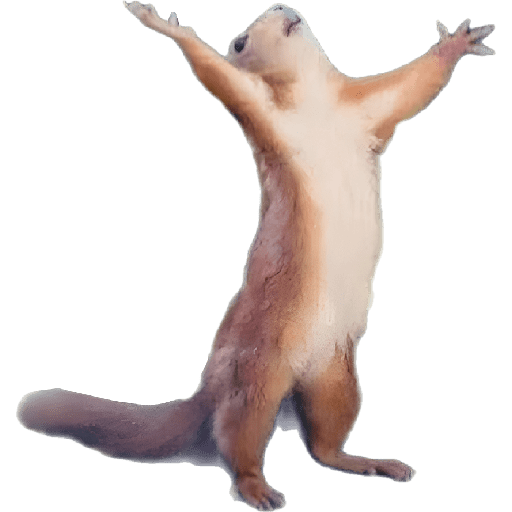 Jtocltcitcitc 18