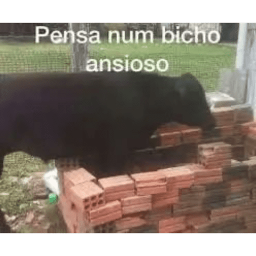 Modigliani rei delas 17