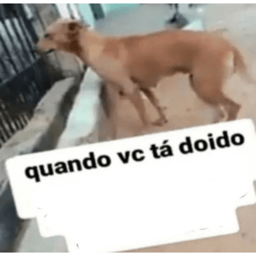 Modigliani rei delas 18