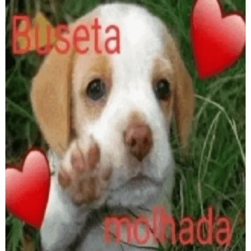 Modigliani rei delas 8