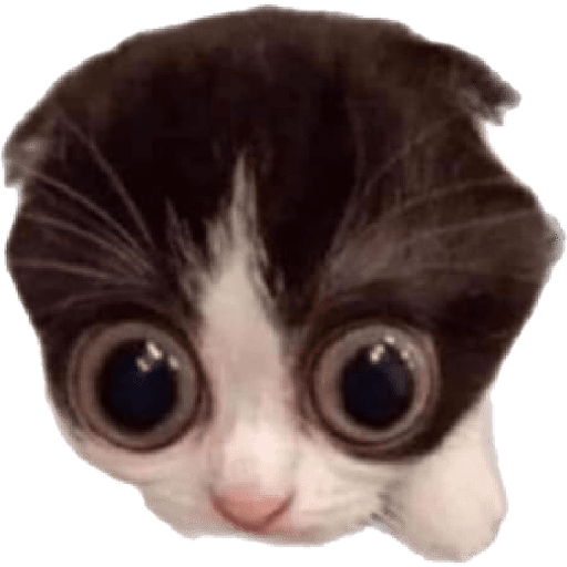 Memes!!🤟 16