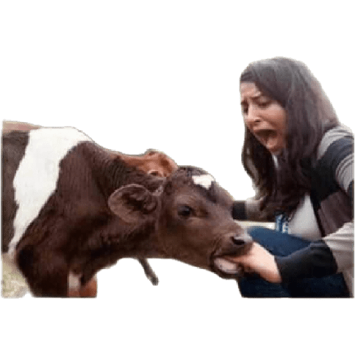 Memes!!🤟 19