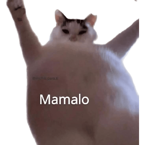 Memes!!🤟 21