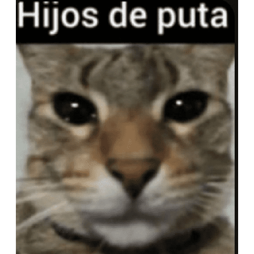 Su mais 6