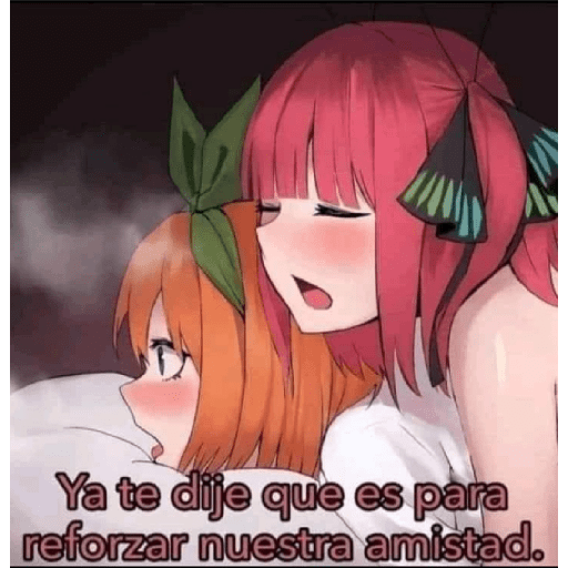 XD ANIME 14