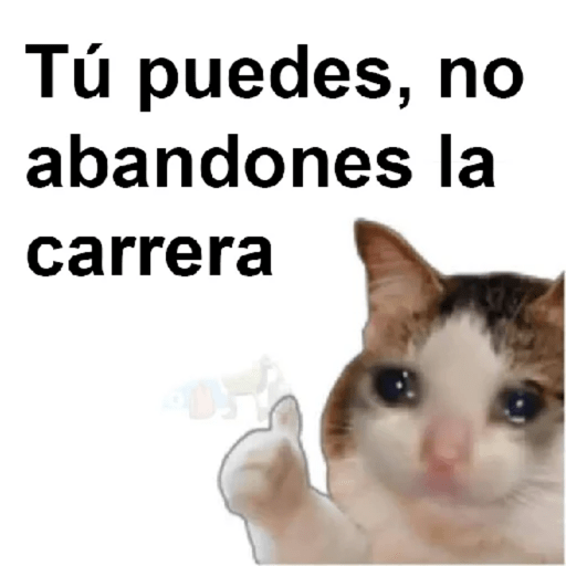 Please 28