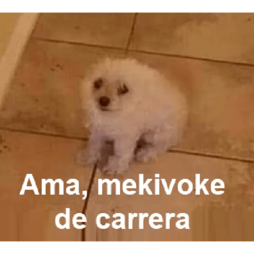 Please 27