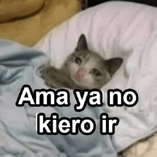 Please 15
