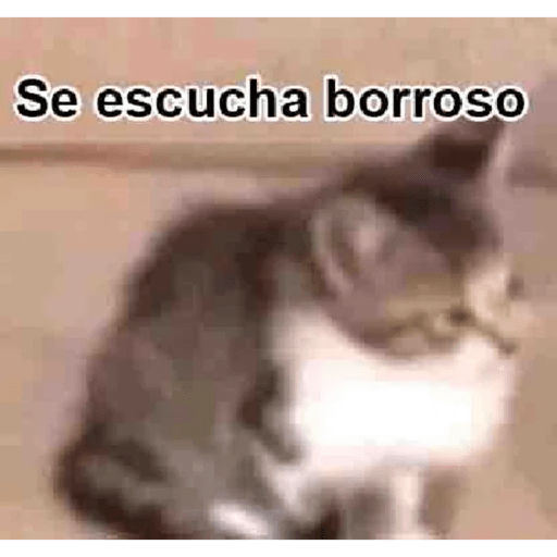 Please 13