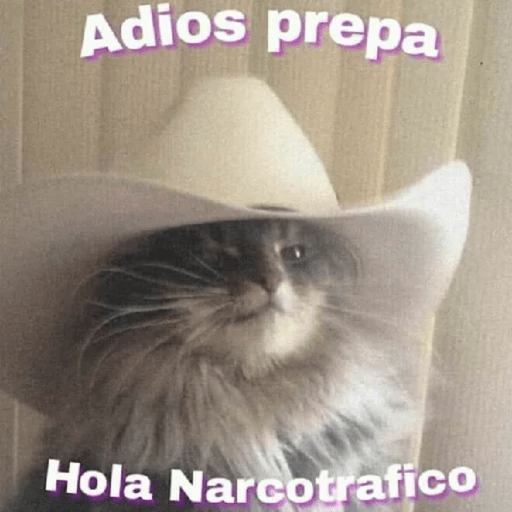 Please 22