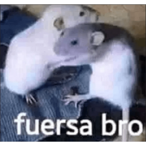 Please 26