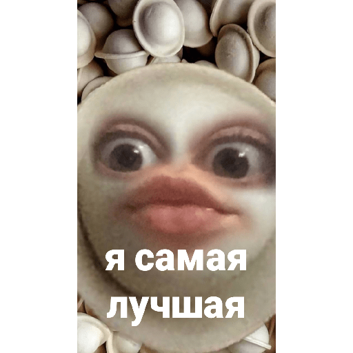 Самые пиздатые обои