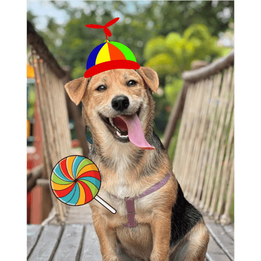 Sticker Image