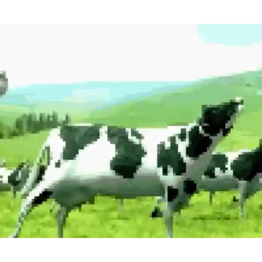Bro gif 7