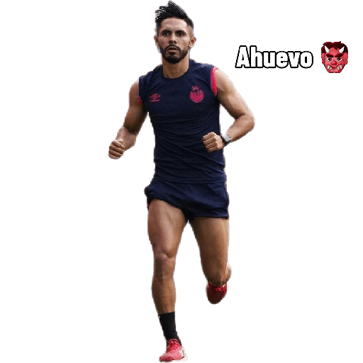 Rojos 2
