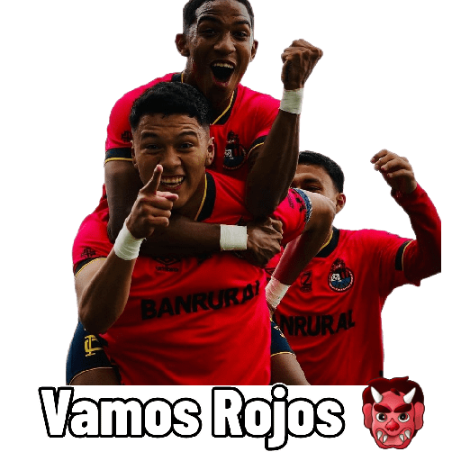 Rojos 6