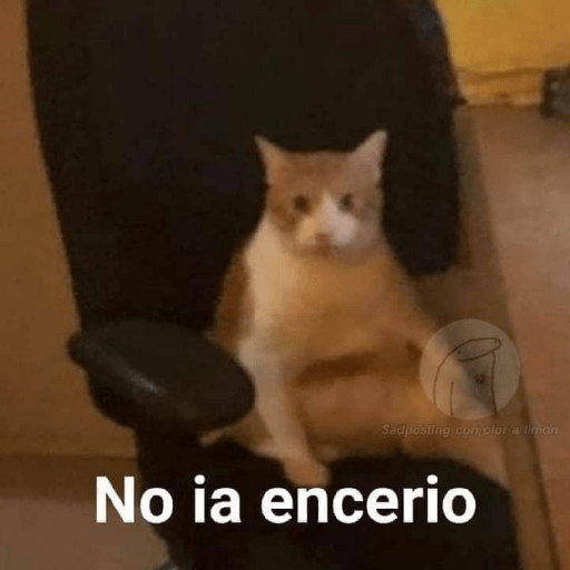 Xd xd 5