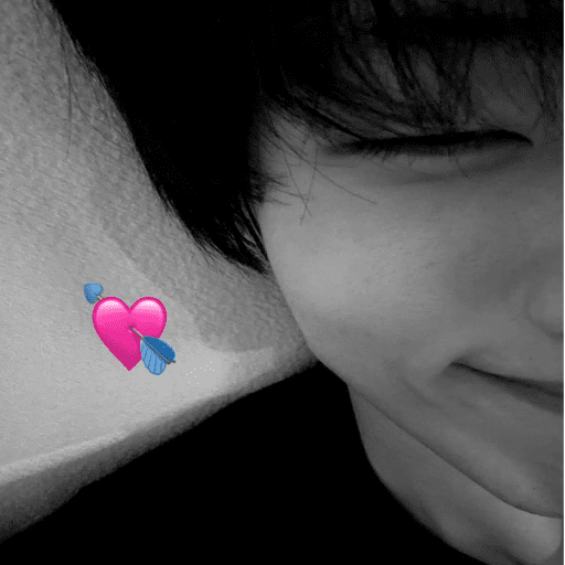 ㅤㅤ⪧   ✿        shirocidios 2