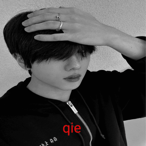 ㅤㅤ⪧   ✿        shirocidios 3
