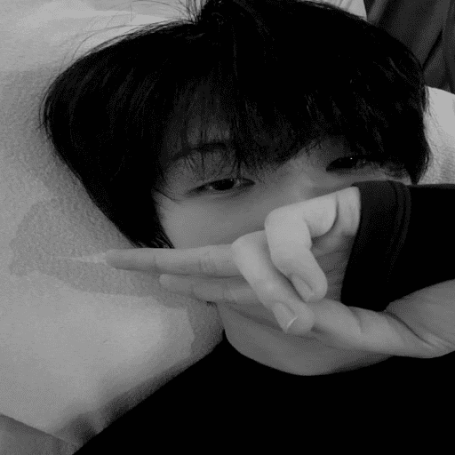 ㅤㅤ⪧   ✿        shirocidios 5