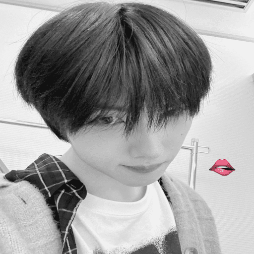 ㅤㅤ⪧   ✿        shirocidios 4