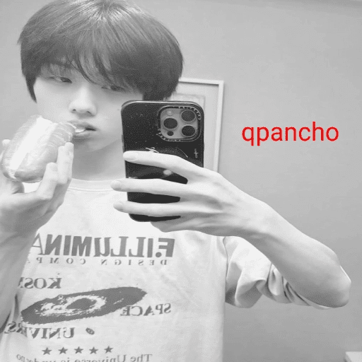 ㅤㅤ⪧   ✿        shirocidios 11