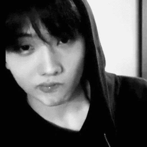 ㅤㅤ⪧   ✿        shirocidios 12