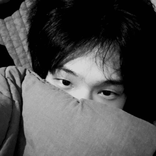 ㅤㅤ⪧   ✿        shirocidios 22