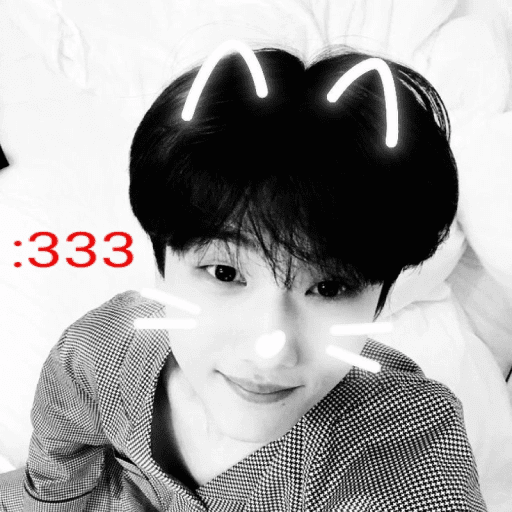ㅤㅤ⪧   ✿        shirocidios 23