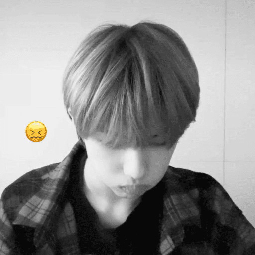 ㅤㅤ⪧   ✿        shirocidios 24