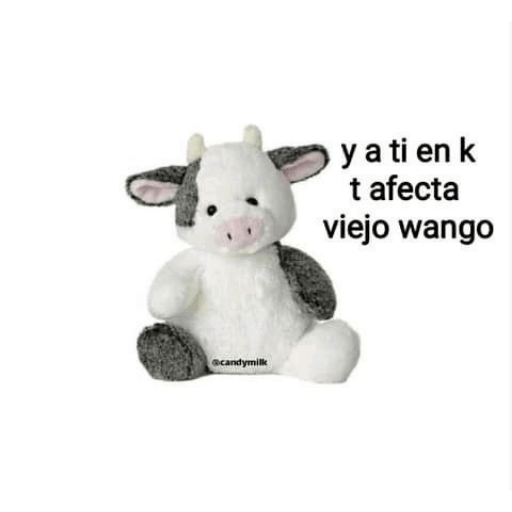 Memes 3