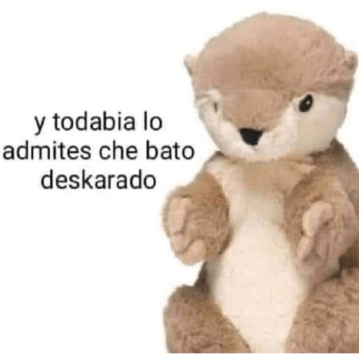Memes 8